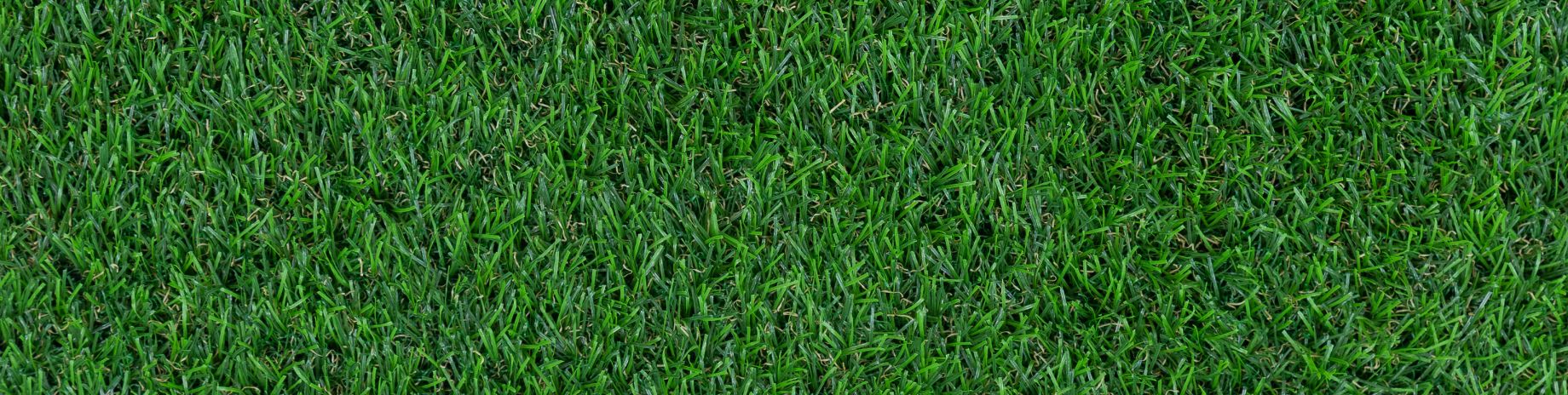 Artificial Grass